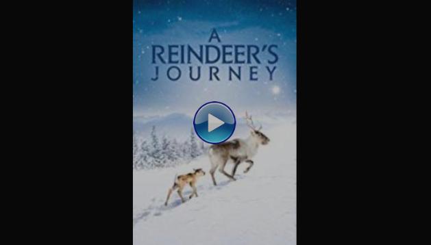 A Reindeer's Journey (2018)