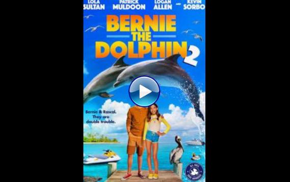 bernie-the-dolphin-2-2019