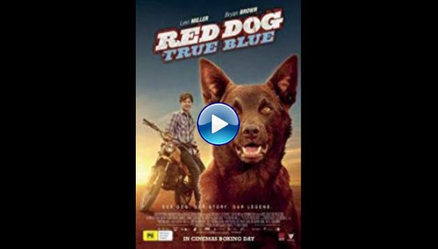 Red Dog True Blue (2016)