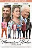 Bad Seeds (2018) HD Full Movie Watch Online Free