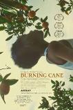Burning Cane (2019) HD Full Movie Watch Online Free