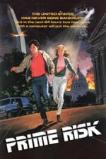 Prime Risk (1985)