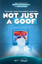 Not Just a Goof (2025)