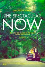 The Spectacular Now (2013)