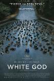 White God (2014)