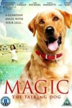 Magic (2010)