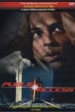 Public Access (1993)