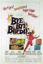 Bye Bye Birdie (1963)