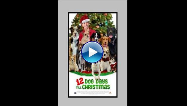 12 Dog Days Till Christmas (2014)