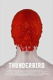 Thunderbird (2021)