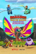 Dragons: Rescue Riders: Secrets of the Songwing (2020)