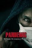 Pandemic: the people, the conspiracy, the journey (2020)