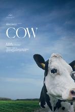 Cow (2022)