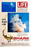 Shark (1969)