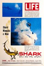 Shark (1969)