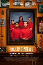 A Nice Indian Boy (2024)