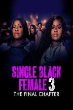 Single Black Female 3: The Final Chapter (2025)