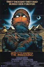 The Awakening (1980)