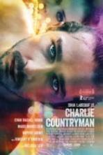 The Necessary Death of Charlie Countryman (2013)