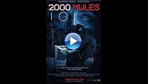 2000 Mules (2022)