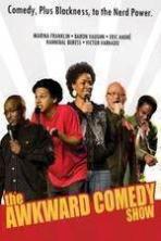 The Awkward Comedy Show (2010)