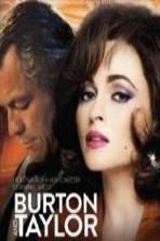 Burton and Taylor (2013)