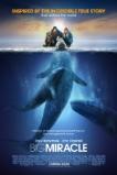 Big Miracle (2012) BluRay Full Movie Watch Online Free