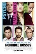Horrible Bosses (2011)