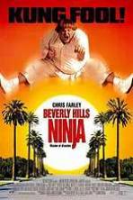 Beverly Hills Ninja (1997)