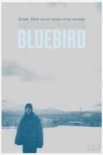 Bluebird (2014)