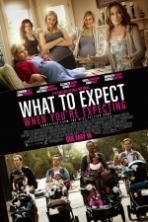 What to Expect When Youre Expecting (2012)