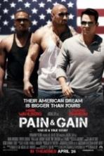 Pain & Gain ( 2014 )