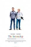 The Internship (2013)