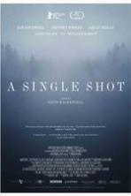 A Single Shot (2014)