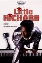 Little Richard (2013)