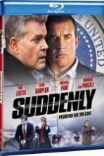 Suddenly (2013)