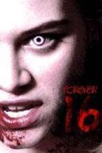 Forever 16 (2013)