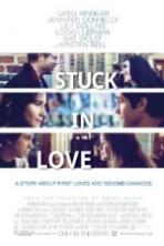 Stuck in Love ( 2014 )