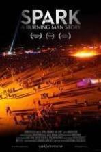 Spark A Burning Man Story (2013)