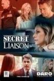 Secret Liaison (2013)
