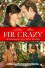 Fir Crazy ( 2013 )