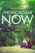 The Spectacular Now (2013)