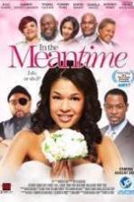 In the Meantime (2013)