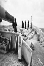 PQ17: An Arctic Convoy Disaster (2014)