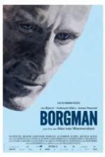 Borgman ( 2013 )