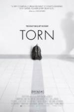 Torn ( 2013 )