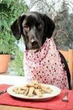 The Truth About Your Dogs Food (2014)