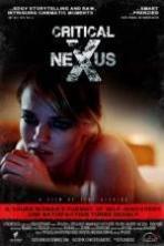 Critical Nexus (2013)