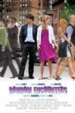 Random Encounters ( 2013 )