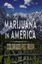 Marijuana in America: Colorado Pot Rush (2014)